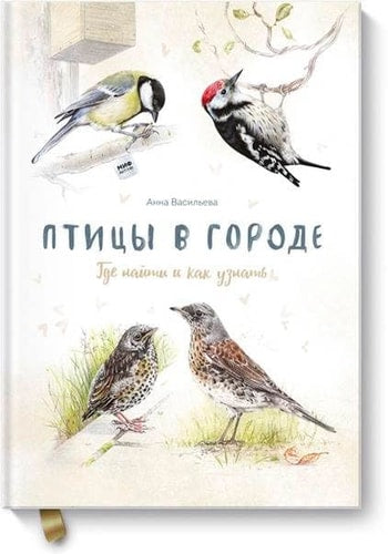 Птицы в городе. Где найти и как узнать