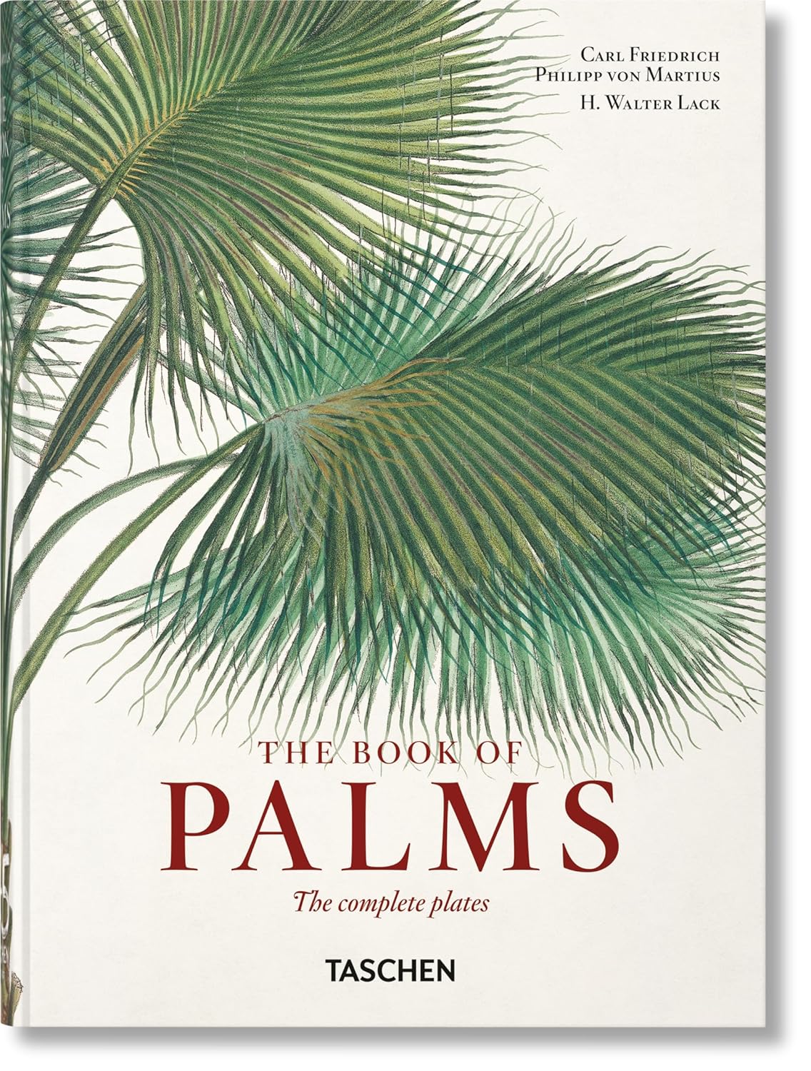 Martius. The Book of Palms. 40th Ed. Book