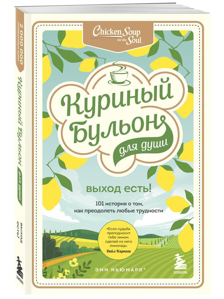 Куриный бульон для души