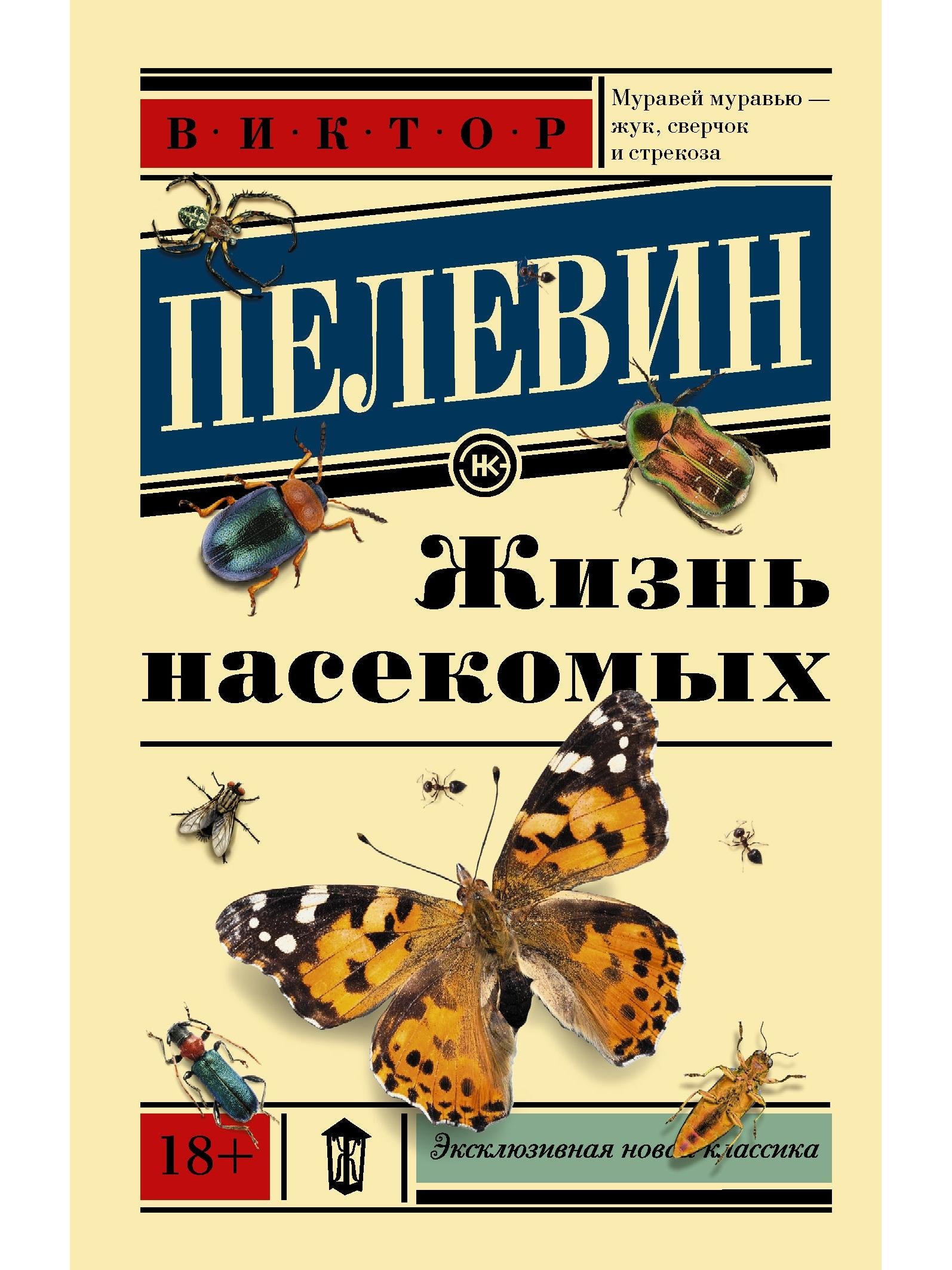 Life of insects