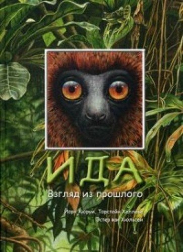 Ida. A look from the past