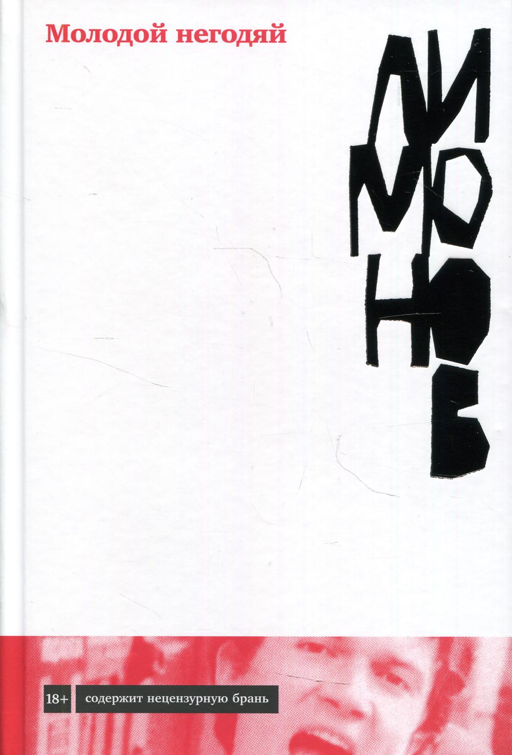 The Young Scoundrel: A Novel