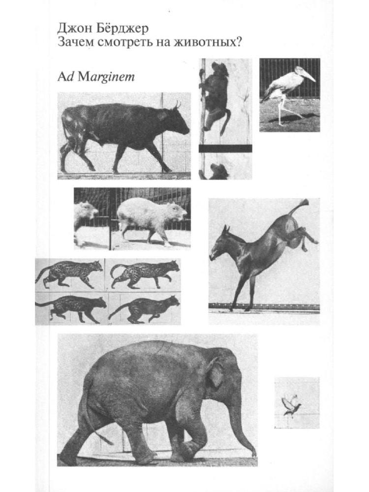 Зачем смотреть на животных?