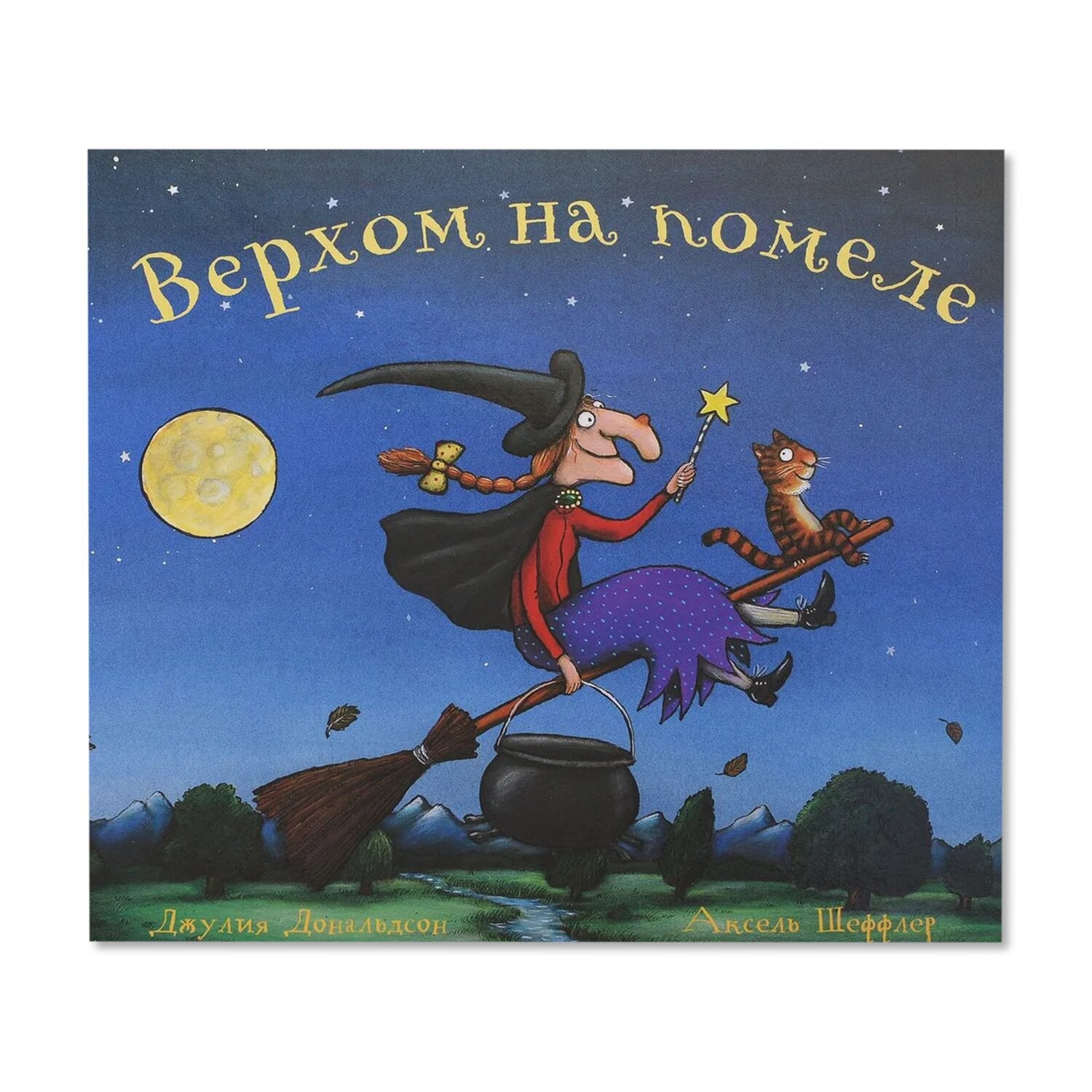 Riding on a Broom: Poems