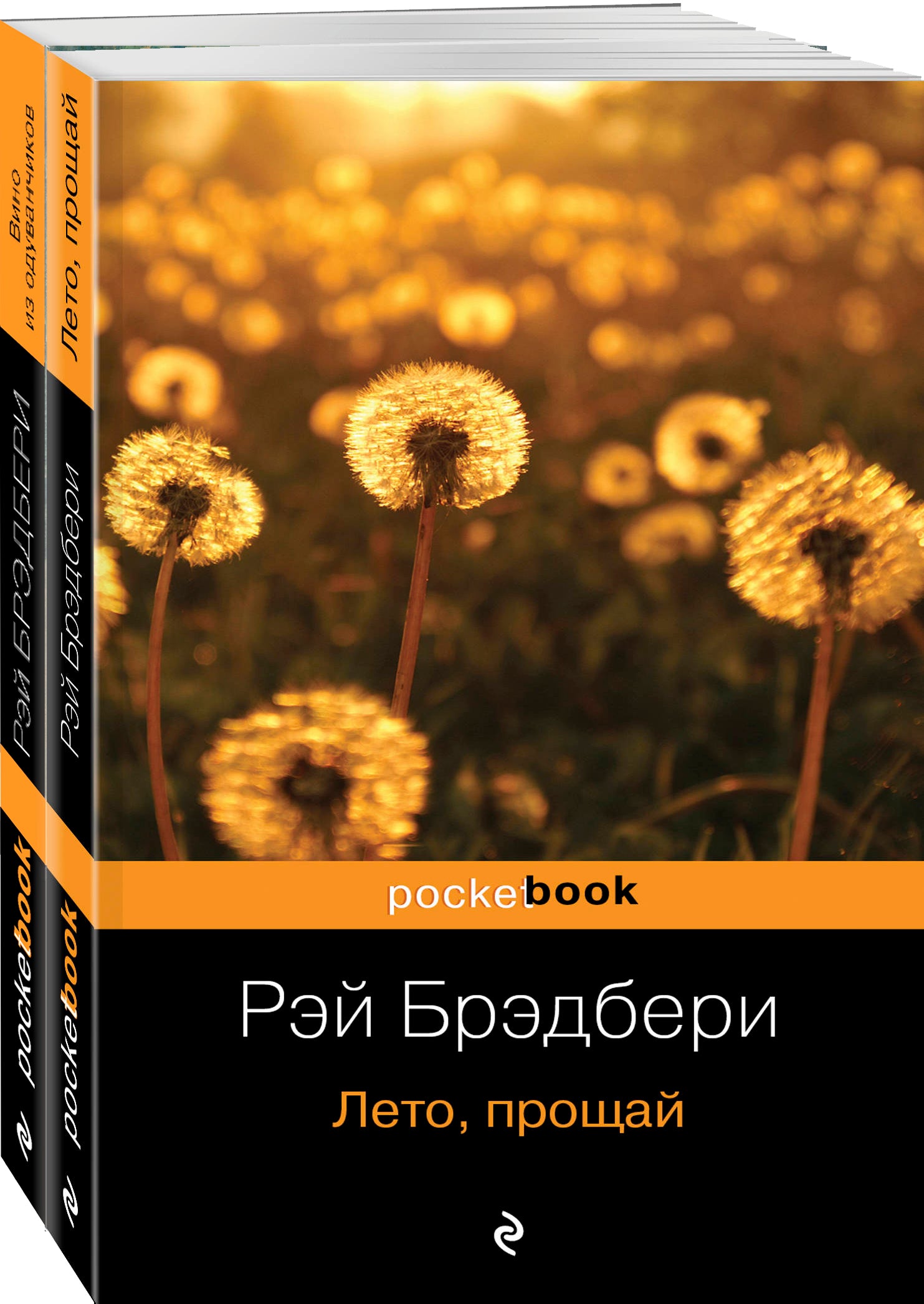 Dandelion Wine and its sequel Summer, Goodbye (set of 2 books)