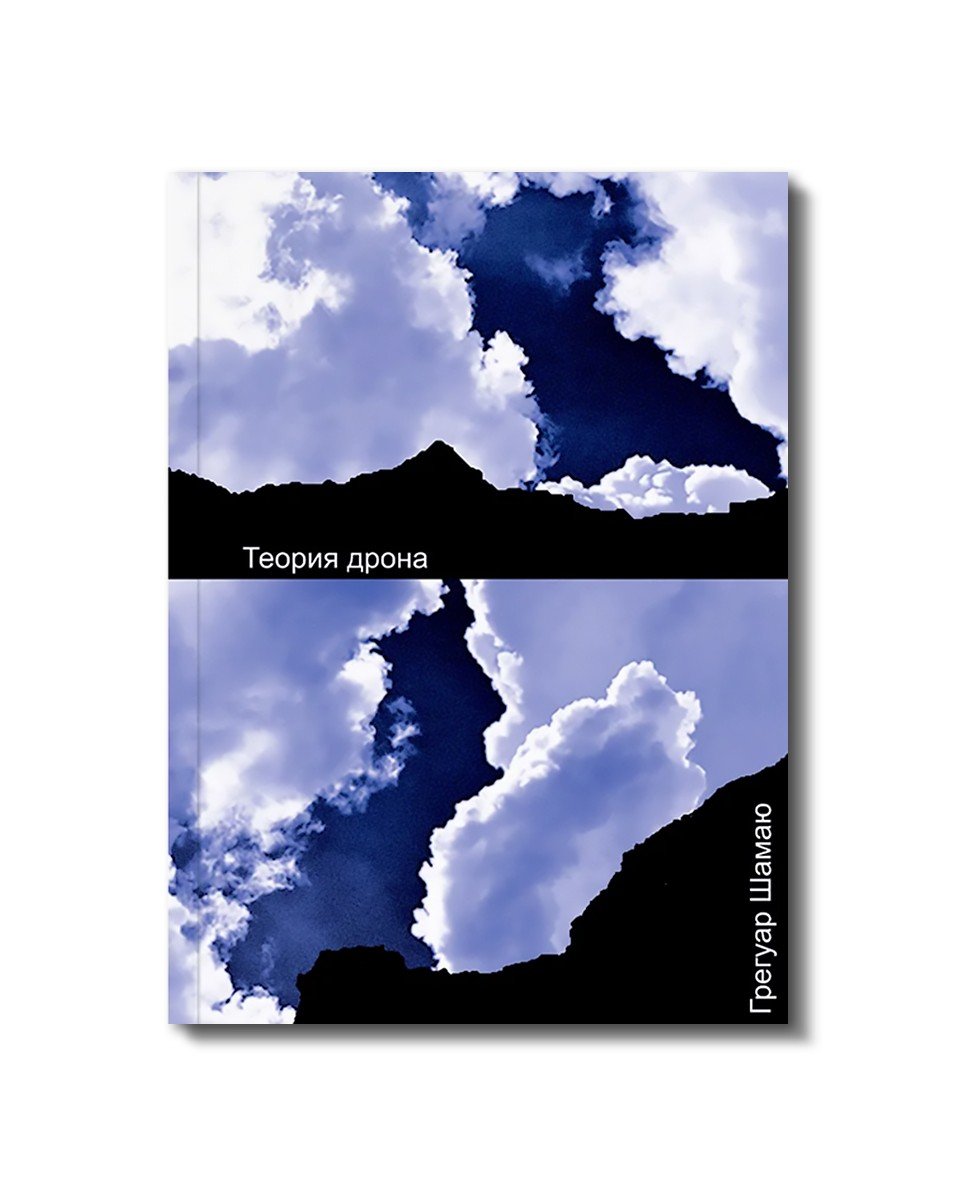 Теория дрона
